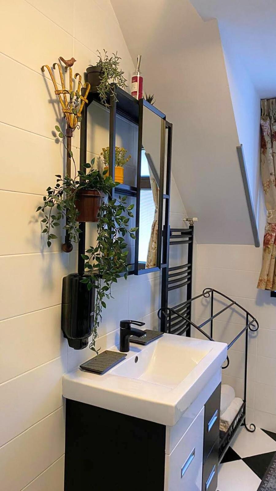 Park Apartment Sinaia